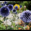 20120729_076